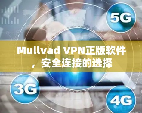 Mullvad VPN正版软件，安全连接的选择