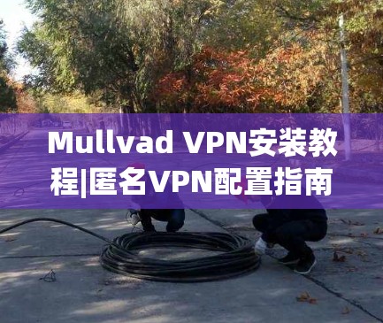 Mullvad VPN安装教程|匿名VPN配置指南