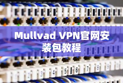 Mullvad VPN官网安装包教程