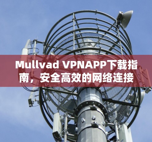 Mullvad VPNAPP下载指南,安全高效的网络连接解决方案 Mullvad VPNAPP下载指南,安全高效的网络连接解决方案
