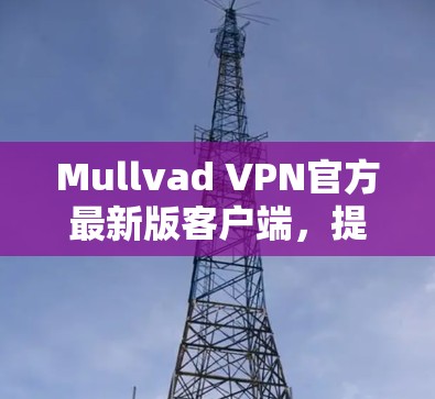 Mullvad VPN官方最新版客户端，提升网络安全与连接速度