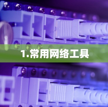 1.常用网络工具 1.常用网络工具