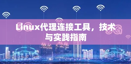 Linux代理连接工具，技术与实践指南