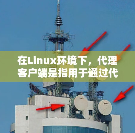 在Linux环境下,代理客户端是指用于通过代理服务器访问互联网或内部网络资源的工具或应用程序。以下是一些常用的Linux代理客户端和相关信息 在Linux环境下,代理客户端是指用于通过代理服务器访问互联网或内部网络资源的工具或应用程序。以下是一些常用的Linux代理客户端和相关信息