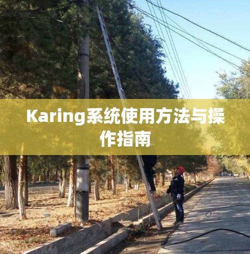 Karing系统使用方法与操作指南 Karing系统使用方法与操作指南
