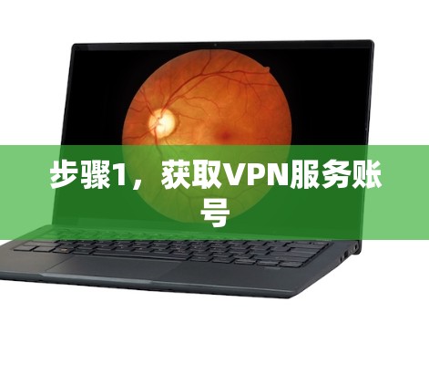 步骤1,获取VPN服务账号 步骤1,获取VPN服务账号