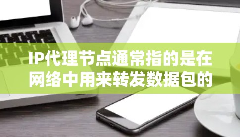 IP代理节点通常指的是在网络中用来转发数据包的设备或服务器。它可以是一个防火墙、路由器，或者是专门的代理服务器。IP代理节点的主要作用是转发IP数据包，从而实现对网络流量的管理和控制