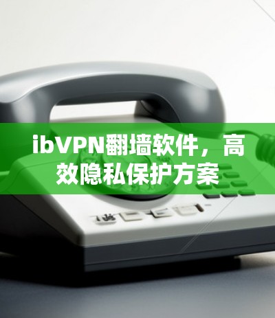 ibVPN翻墙软件,高效隐私保护方案 ibVPN翻墙软件,高效隐私保护方案
