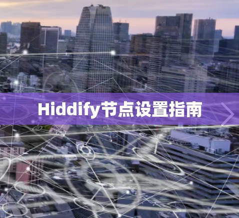 Hiddify节点设置指南