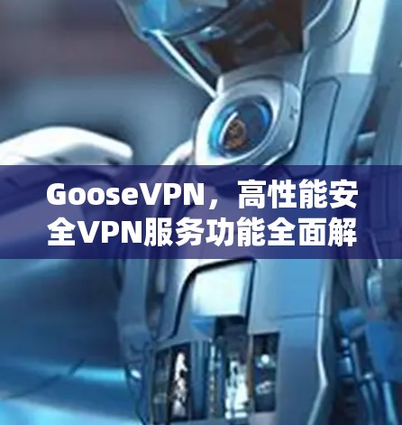 GooseVPN，高性能安全VPN服务功能全面解析