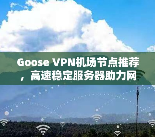 Goose VPN机场节点推荐，高速稳定服务器助力网络需求