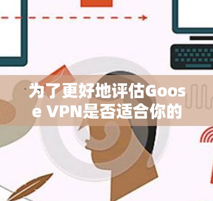 为了更好地评估Goose VPN是否适合你的需求，以下是一份详细的分析和建议