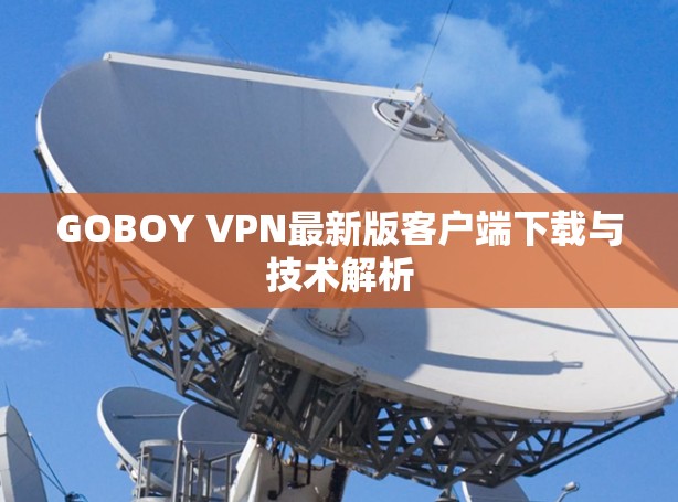 GOBOY VPN最新版客户端下载与技术解析