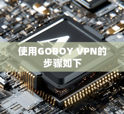使用GOBOY VPN的步骤如下