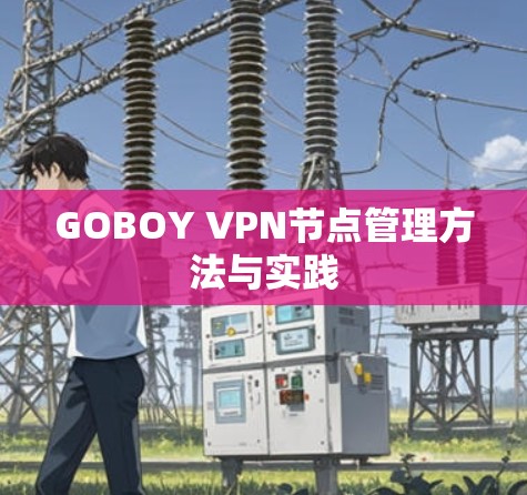 GOBOY VPN节点管理方法与实践