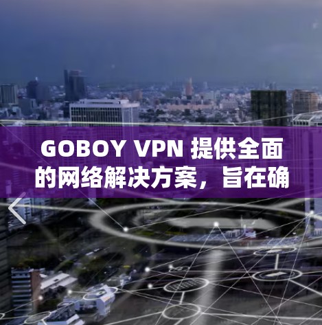 GOBOY VPN 提供全面的网络解决方案，旨在确保用户在网络环境中的安全性和隐私。以下是其主要功能的详细说明