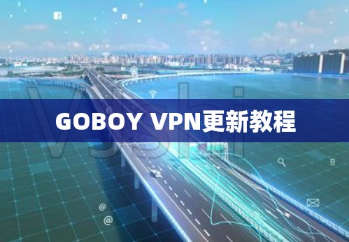 GOBOY VPN更新教程
