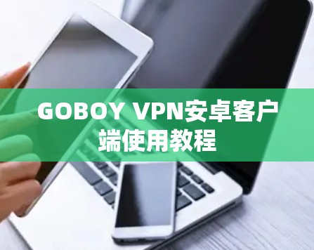 GOBOY VPN安卓客户端使用教程