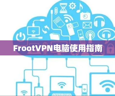 FrootVPN电脑使用指南