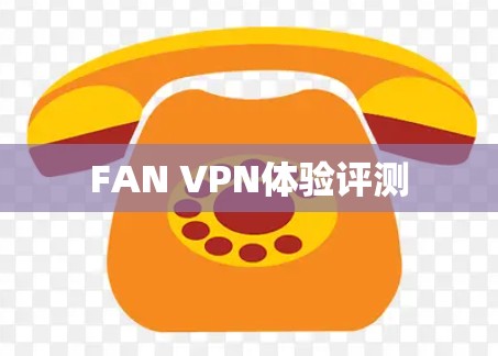 FAN VPN体验评测