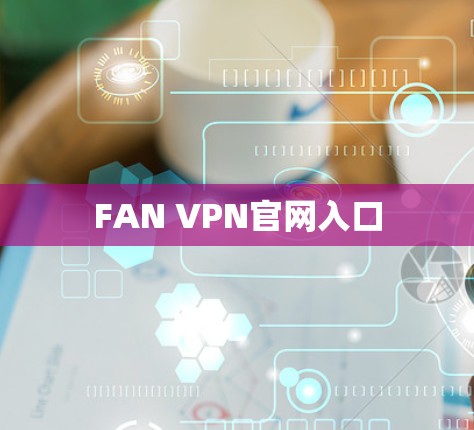 FAN VPN官网入口