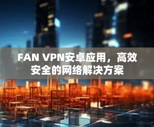 FAN VPN安卓应用，高效安全的网络解决方案