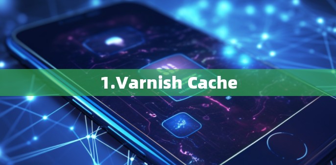 1.Varnish Cache