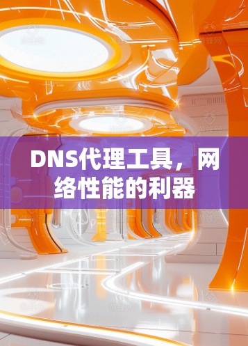 DNS代理工具，网络性能的利器