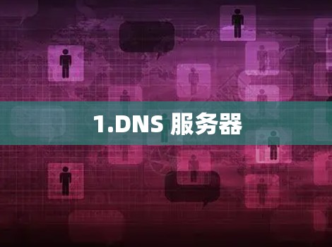 1.DNS 服务器