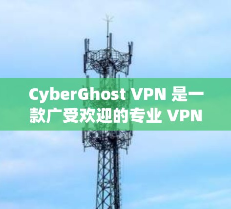 CyberGhost VPN 是一款广受欢迎的专业 VPN 工具，适合需要保护隐私和安全的用户。以下是对该 VPN 的详细分析和总结