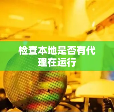 检查本地是否有代理在运行