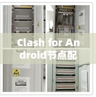 Clash for Android节点配置方法