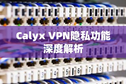 Calyx VPN隐私功能深度解析