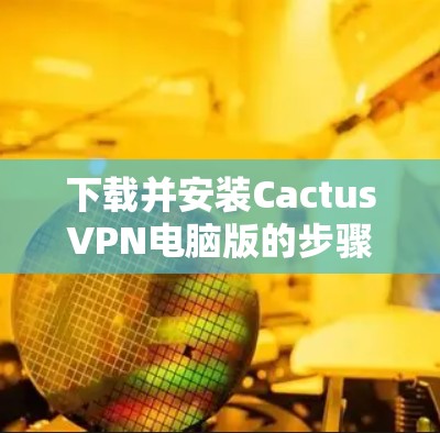 下载并安装CactusVPN电脑版的步骤如下
