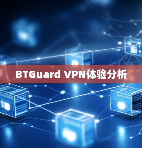 BTGuard VPN体验分析