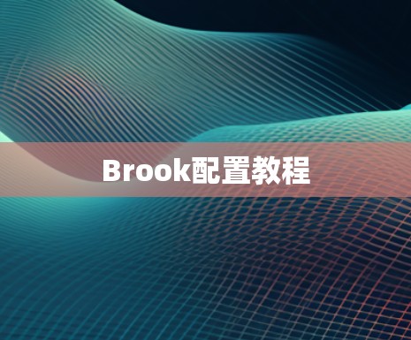 Brook配置教程 Brook配置教程
