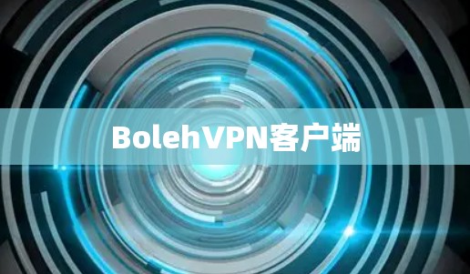 BolehVPN客户端