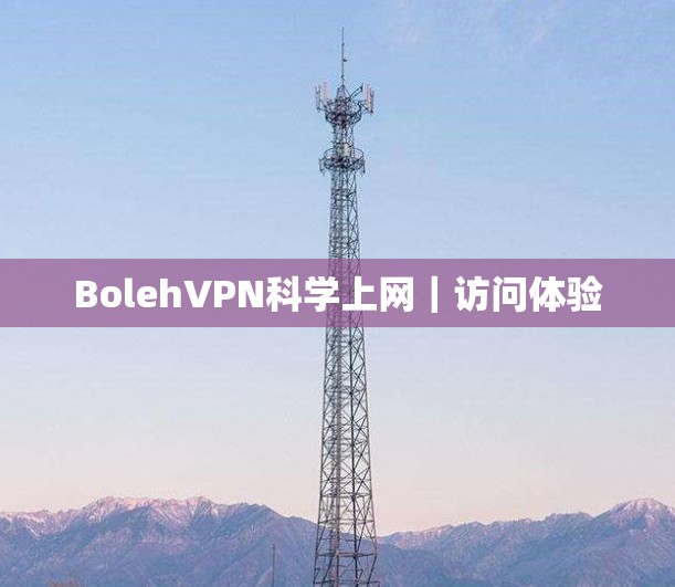 BolehVPN科学上网｜访问体验
