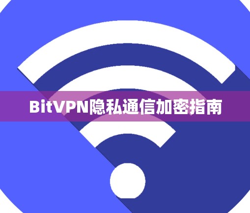 BitVPN隐私通信加密指南