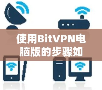 使用BitVPN电脑版的步骤如下