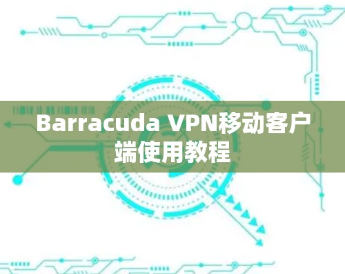 Barracuda VPN移动客户端使用教程